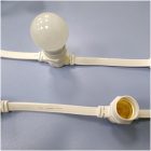 ГИРЛЯНДА БЕЛТ-ЛАЙТ 2BLR-20M-20CM-240V-W