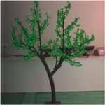 Деревья Сакура 1,5 метра