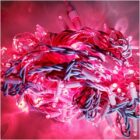 ГИРЛЯНДА НИТЬ LED-PL-BR-100-240V-R-F