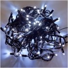 ГИРЛЯНДА НИТЬ LED-PL-BR-100-240V-WBL-F