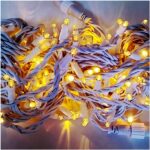 Светодиодная флеш гирлянда Нить LED-PL-BR-100-240V-Y-F