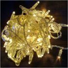 ГИРЛЯНДА НИТЬ LED-PL-PVC-100-24V-WW